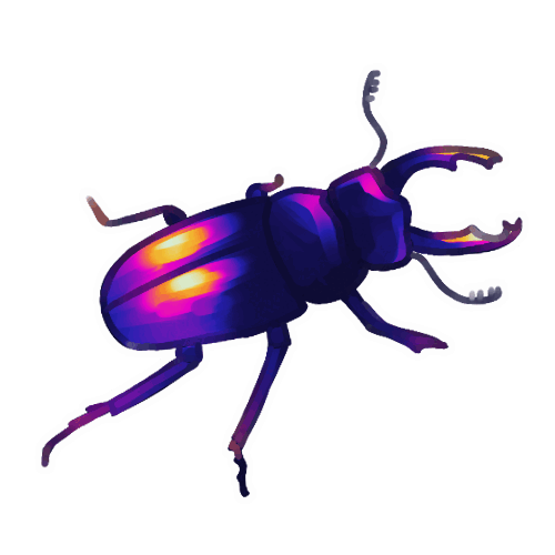 Stag Beetles