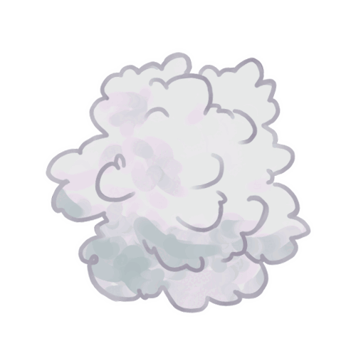 Cotton Fluff