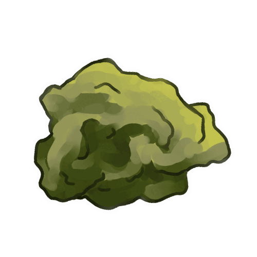 Moss